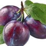 comment s appelle la prune a agenaisse 1