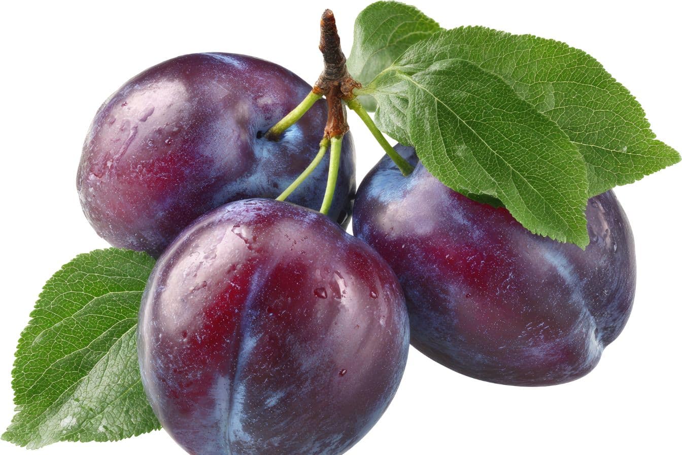 comment s appelle la prune a agenaisse 1