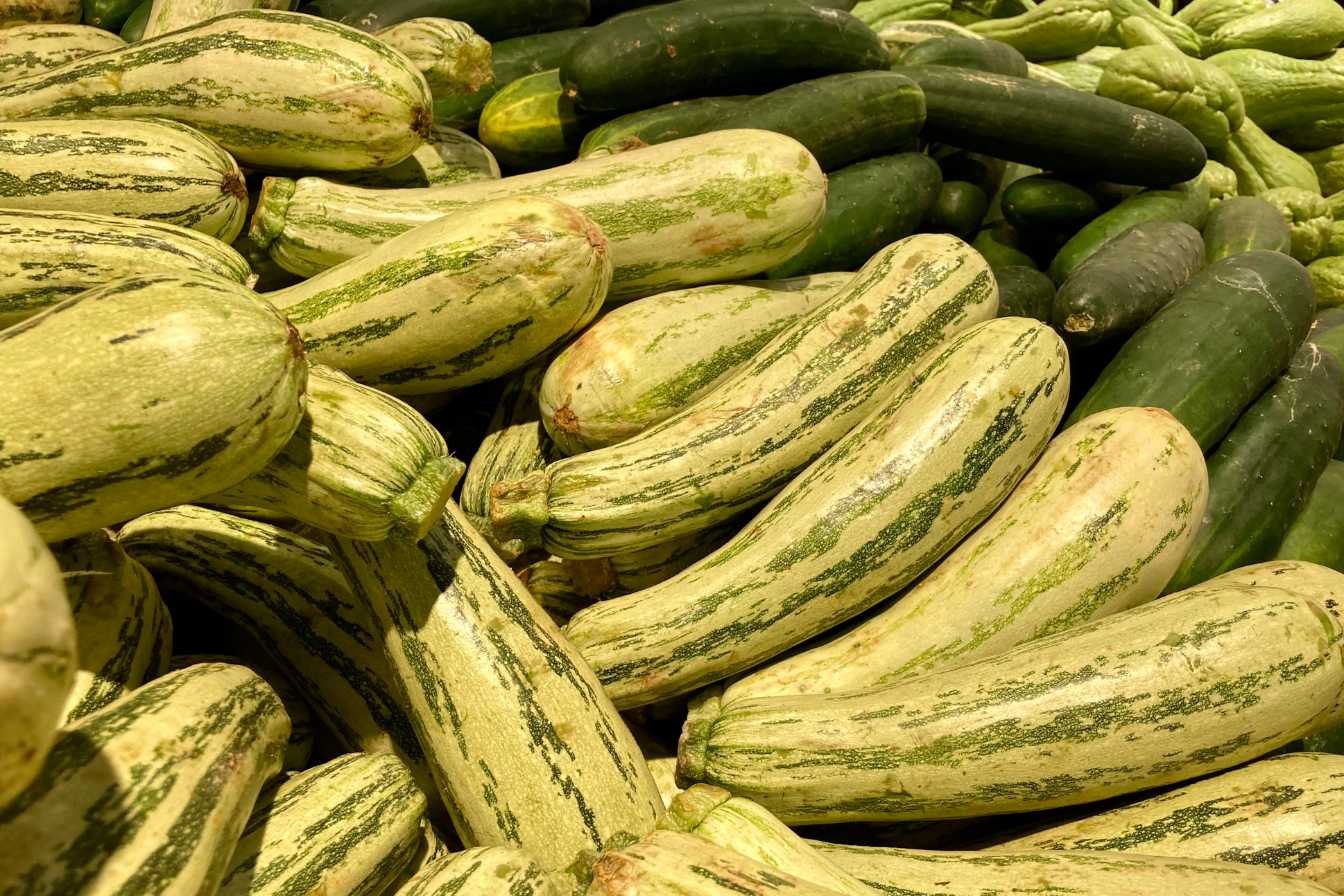 concombre et cornichon decouvrez leurs secrets et comment les cultiver avec succes 1