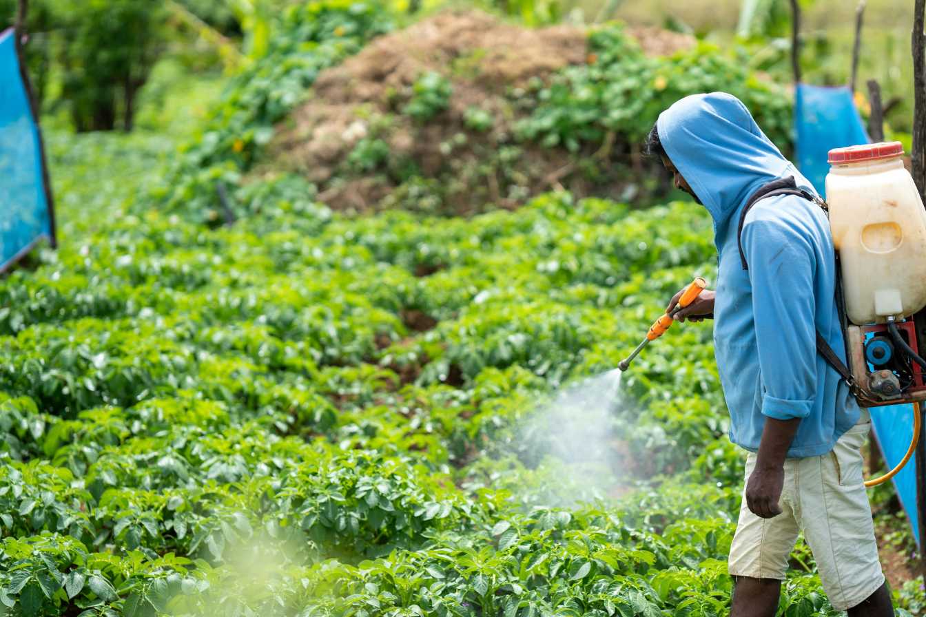 dosage bouillie bordelaise pour 1 litre guide complet 1