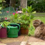 e013258bec21302e1e8d535a3f91a0a5 html 2d7e81d8