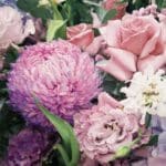 fleurs en u 7 especes rares a connaitre pour le scrabble et votre jardin 1