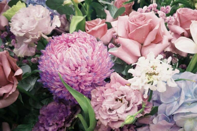 fleurs en u 7 especes rares a connaitre pour le scrabble et votre jardin 1