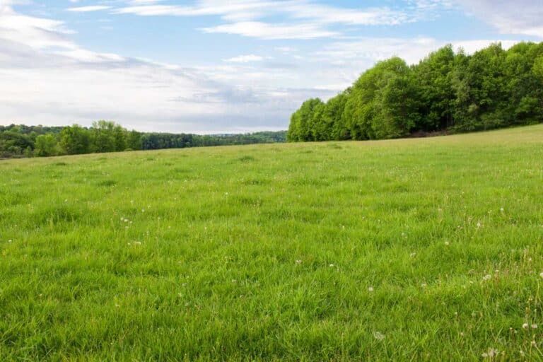 ou trouver de la terre gratuite 1