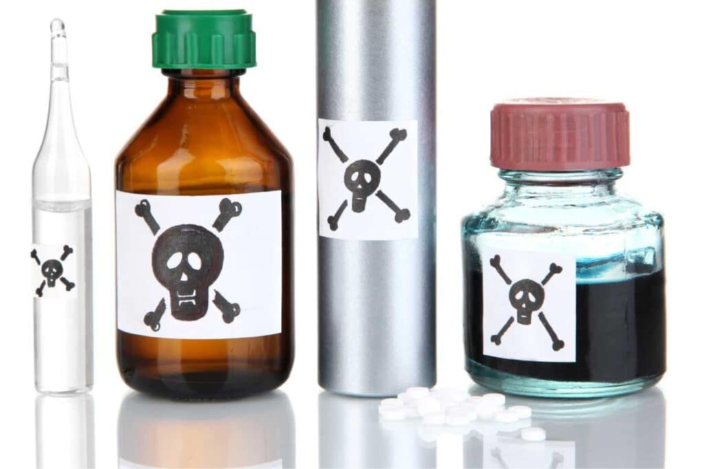 poison mortel pour fouine 1