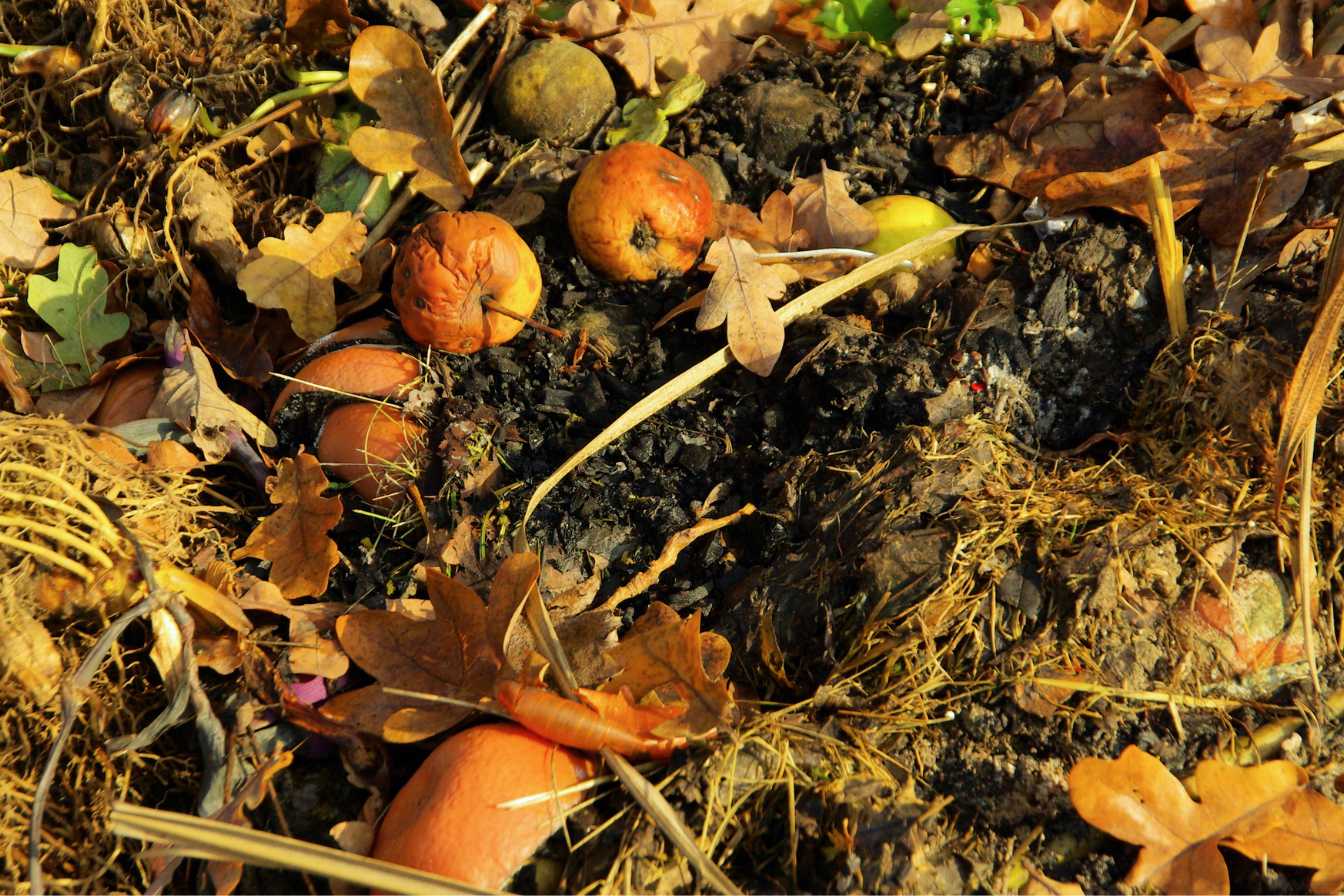 prix-m3-terre-vegetale-2